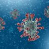 Seconda Ondata di Corona Virus Chan : Conferma Inesorabile degli Ultimi Dati