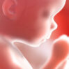 Etica : La Pfizer ha Utilizzato Cellule Embrionali per Creare il Suo Vaccino, Il Vaticano Approva