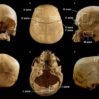 Archeologia : Risolto Il Mistero del Cranio di Donna Vecchio 5000 Anni Ritrovato In Una Caverna