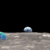 Spazio : Dopo La Luna Adesso Gli Scienziati Spediranno Via Laser I Tardigradi Su Proxima Centauri, Arrivo Previsto A 20 Anni Dal Lancio